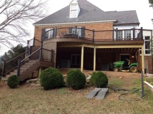 Trex Deck by Felice Decks